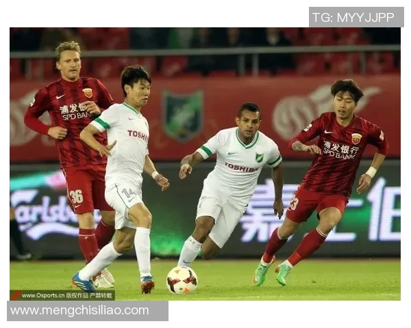 杭州排球队与上海排球队赛后分析灵活性对比及战术启示