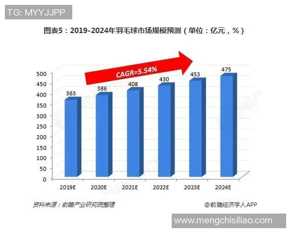武汉羽毛球队状态分析与未来展望聚焦羽毛球发展新机遇